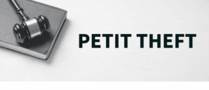 petit theft