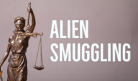 miami alien smuggling attorney