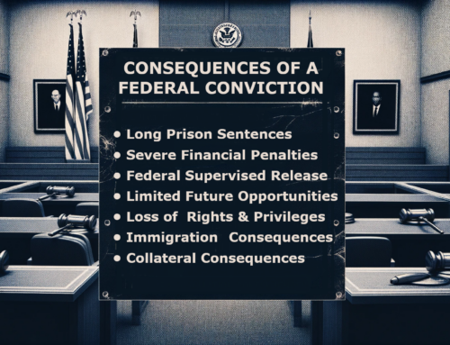 The Severe Consequences of a Federal Conviction