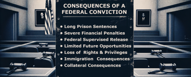 consequences of a federal conviction